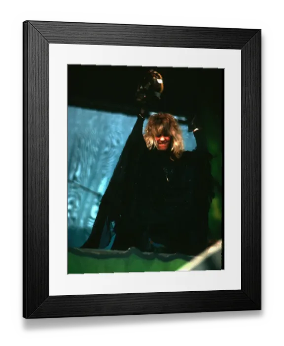 Framed Print : Stevie Nicks Performing Framed Print : Stevie Nicks Performing