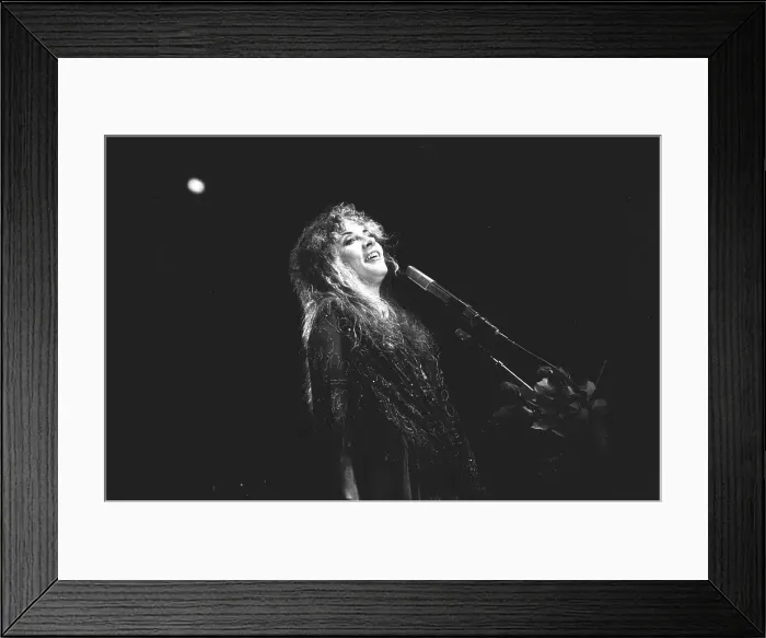 Framed Print : Fleetwood Mac Live In Atlanta Framed Print : Fleetwood Mac Live In Atlanta