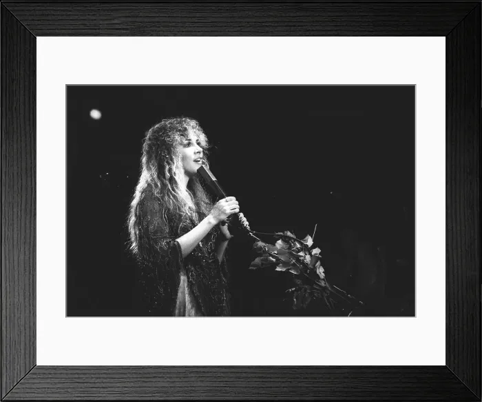Framed Print : Fleetwood Mac Live In Atlanta Framed Print : Fleetwood Mac Live In Atlanta