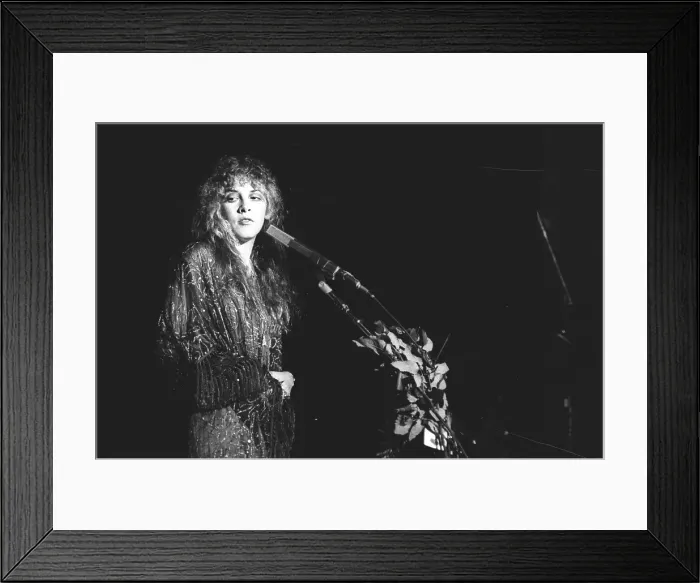 Framed Print : Fleetwood Mac Live In Atlanta Framed Print : Fleetwood Mac Live In Atlanta