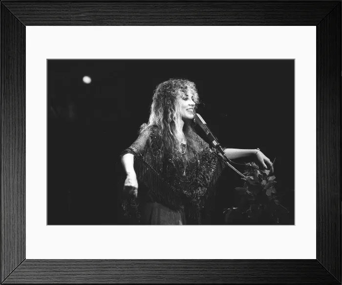Framed Print : Fleetwood Mac Live In Atlanta Framed Print : Fleetwood Mac Live In Atlanta