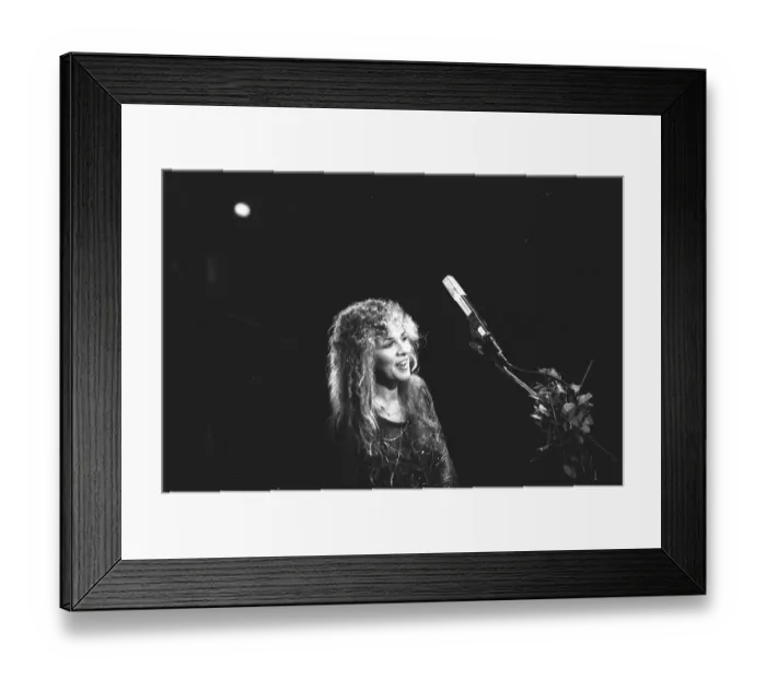 Framed Print : Fleetwood Mac Live In Atlanta Framed Print : Fleetwood Mac Live In Atlanta