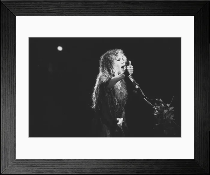 Framed Print : Fleetwood Mac Live In Atlanta Framed Print : Fleetwood Mac Live In Atlanta
