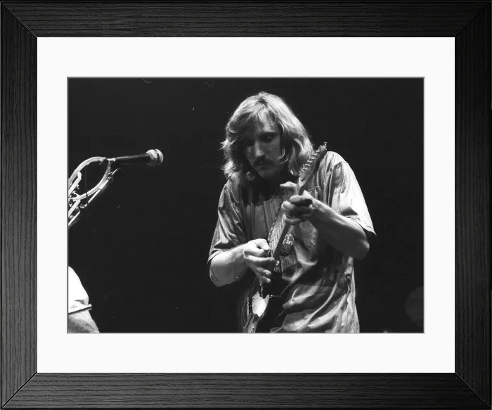 Framed Print : Joe Walsh of the Eagles Performing Framed Print : Joe Walsh of the Eagles Performing