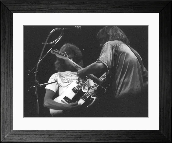 Framed Print : Don Felder Performing Framed Print : Don Felder Performing