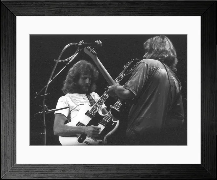 Framed Print : Don Felder Performing Framed Print : Don Felder Performing