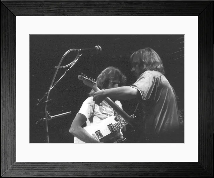 Framed Print : Don Felder Performing Framed Print : Don Felder Performing