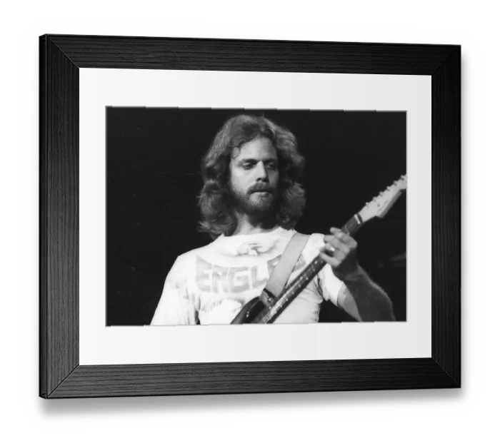 Framed Print : Don Felder Performing Framed Print : Don Felder Performing