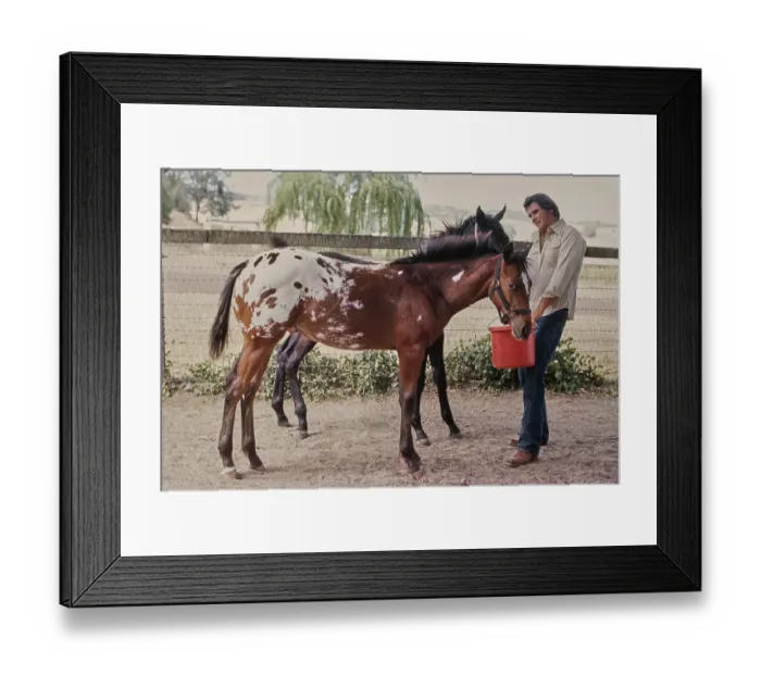 Framed Print : James Brolin, American Actor Framed Print : James Brolin, American Actor