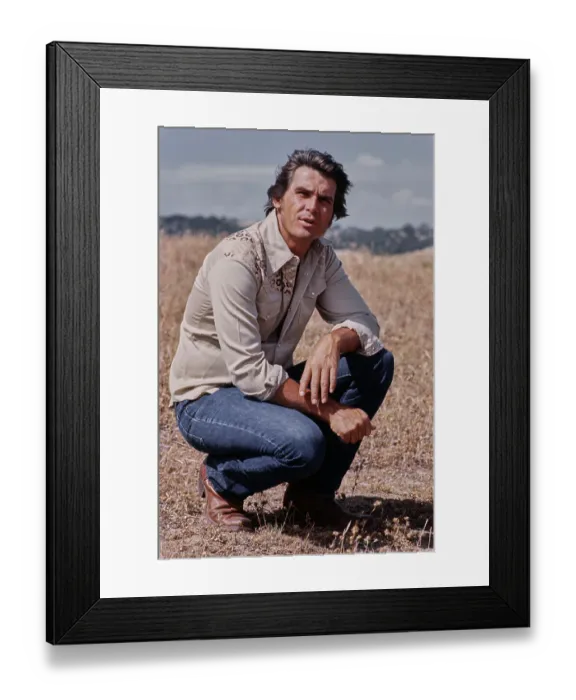 Framed Print : James Brolin, American Actor Framed Print : James Brolin, American Actor