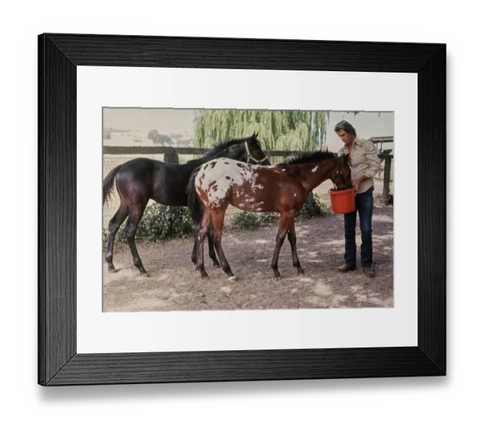Framed Print : James Brolin, American Actor Framed Print : James Brolin, American Actor