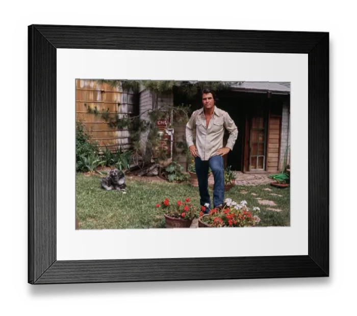 Framed Print : James Brolin, American Actor Framed Print : James Brolin, American Actor