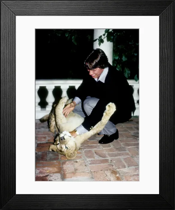Framed Print : Arnold Schwarzenegger Framed Print : Arnold Schwarzenegger