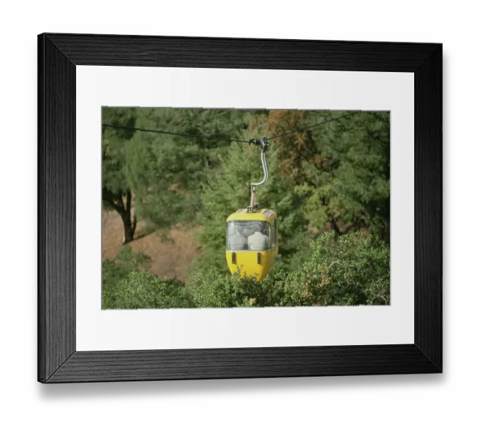 Framed Print : Prince Charles In Napa Valley Framed Print : Prince Charles In Napa Valley