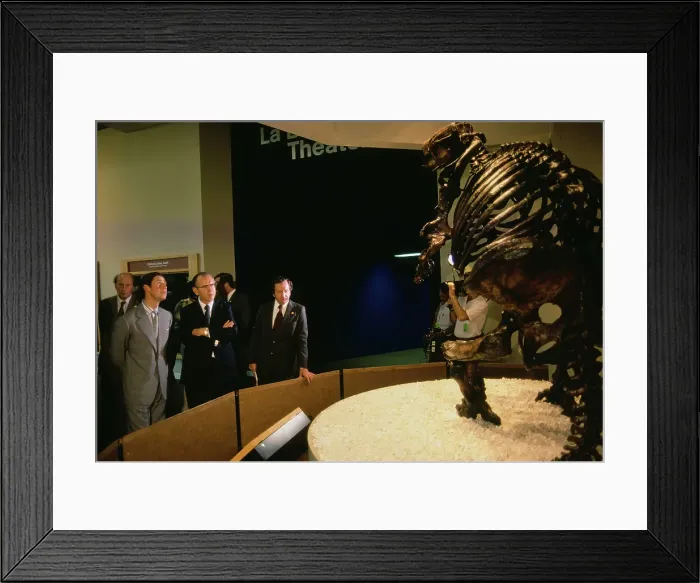 Framed Print : Prince Charles Visits La Brea Tar Pits and Museum Framed Print : Prince Charles Visits La Brea Tar Pits and Museum