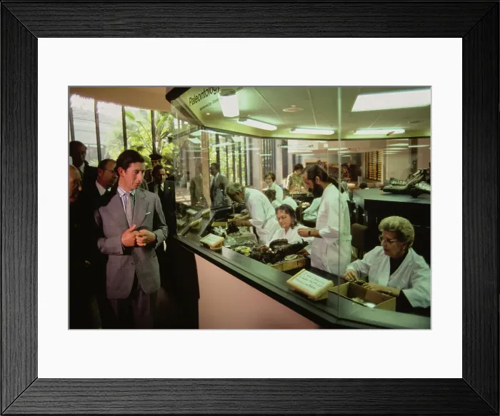 Framed Print : Prince Charles Visits La Brea Tar Pits and Museum Framed Print : Prince Charles Visits La Brea Tar Pits and Museum