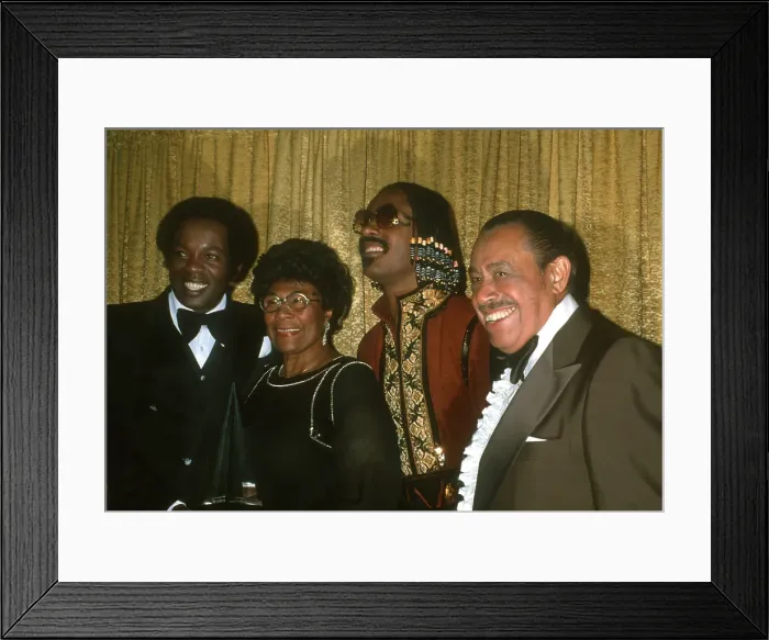 Framed Print : Stevie Wonder At The Billboard Music Awards Framed Print : Stevie Wonder At The Billboard Music Awards
