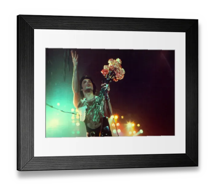 Framed Print : Queen Performing in LA Framed Print : Queen Performing in LA