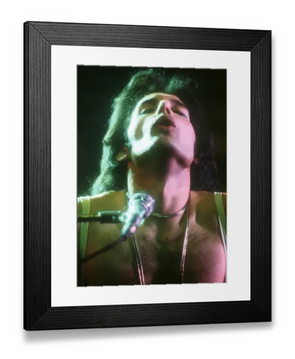 Framed Print : Queen Performing in LA Framed Print : Queen Performing in LA