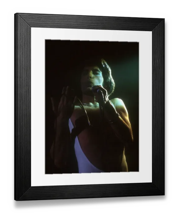 Framed Print : Queen Performing in LA Framed Print : Queen Performing in LA