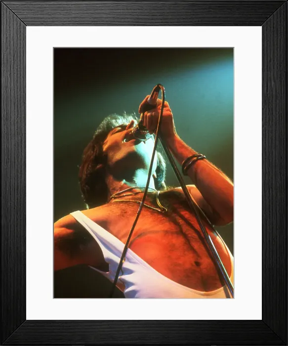 Framed Print : Queen Performing in LA Framed Print : Queen Performing in LA