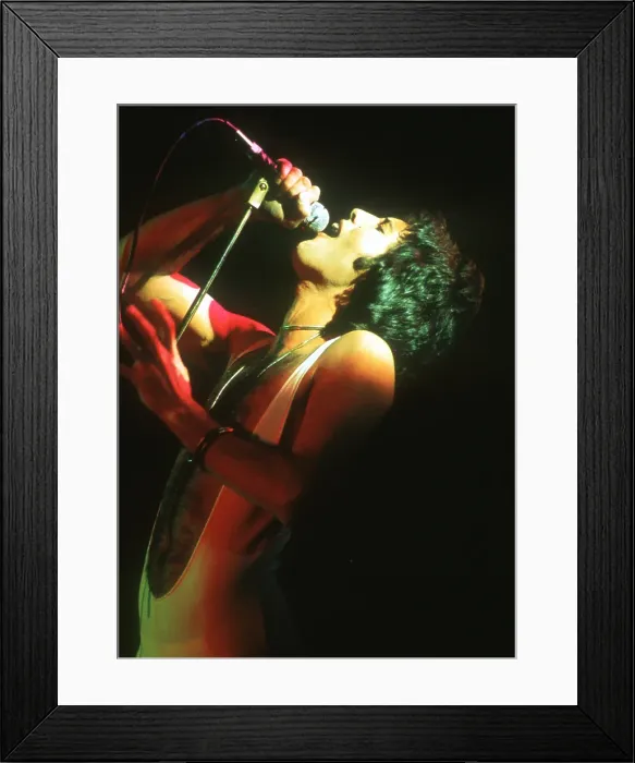 Framed Print : Queen Performing in LA Framed Print : Queen Performing in LA
