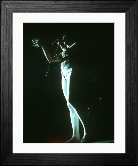 Framed Print : Queen Performing in LA Framed Print : Queen Performing in LA