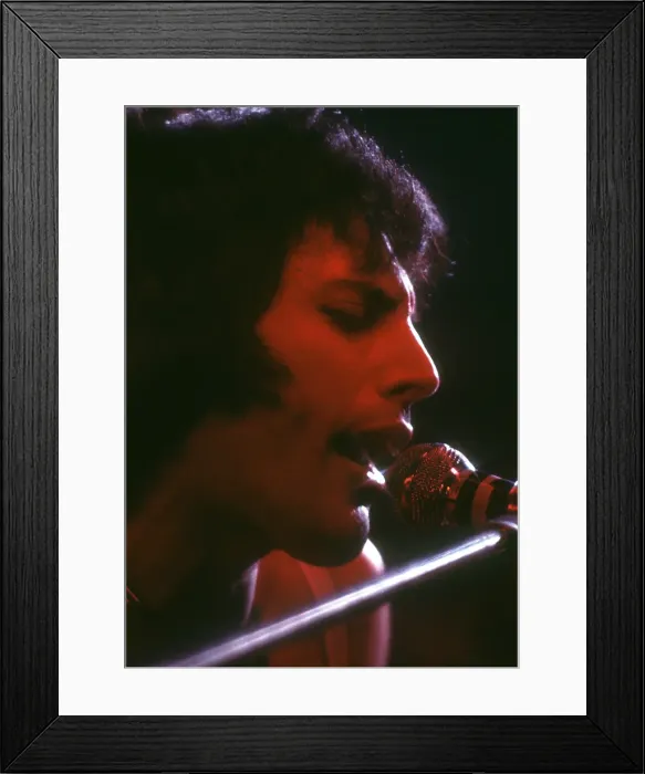 Framed Print : Queen Performing in LA Framed Print : Queen Performing in LA