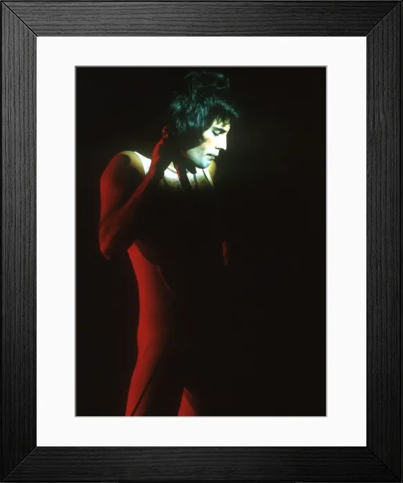 Framed Print : Queen Performing in LA Framed Print : Queen Performing in LA