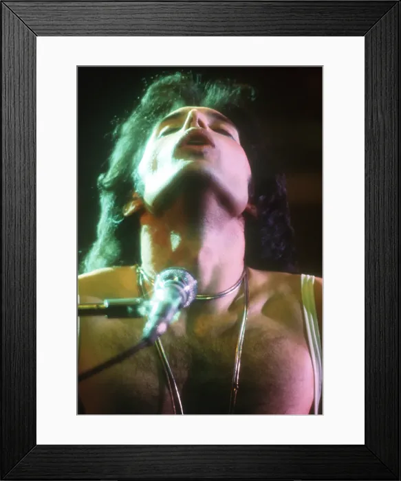 Framed Print : Queen Performing in LA Framed Print : Queen Performing in LA