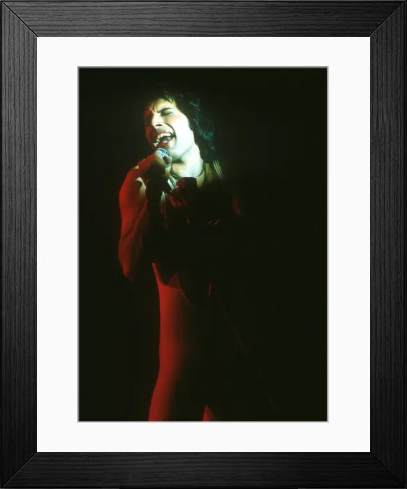 Framed Print : Queen Performing in LA Framed Print : Queen Performing in LA