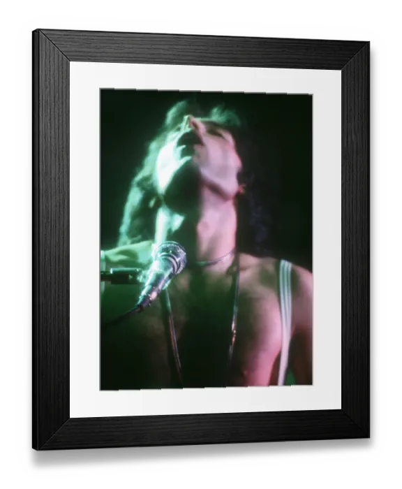 Framed Print : Queen Performing in LA Framed Print : Queen Performing in LA