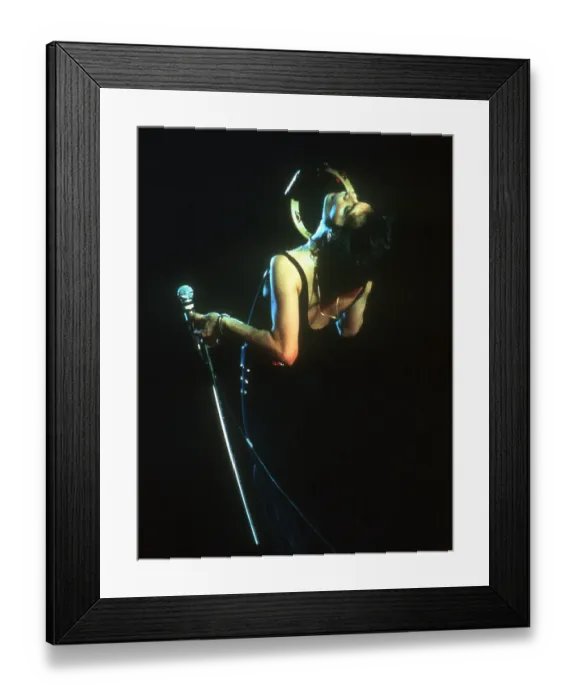 Framed Print : Queen Performing in LA Framed Print : Queen Performing in LA
