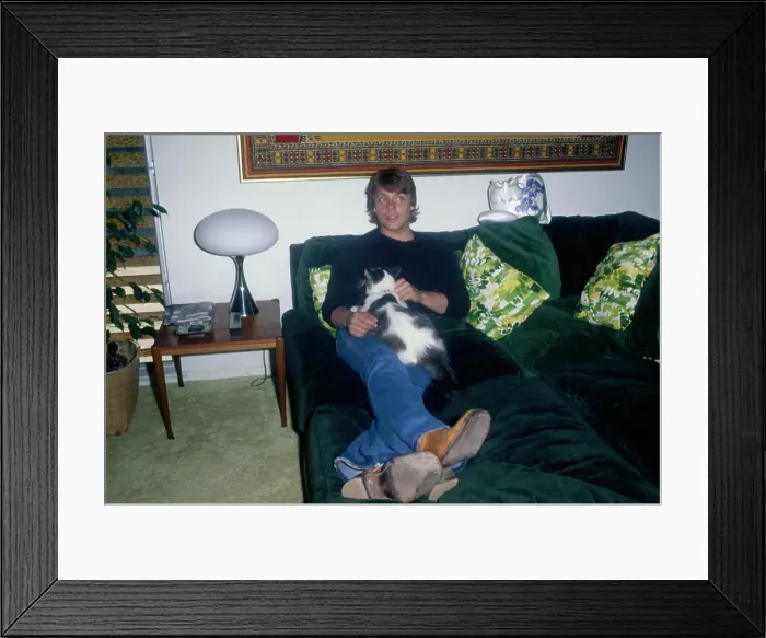 Framed Print : Mark Hamill Framed Print : Mark Hamill