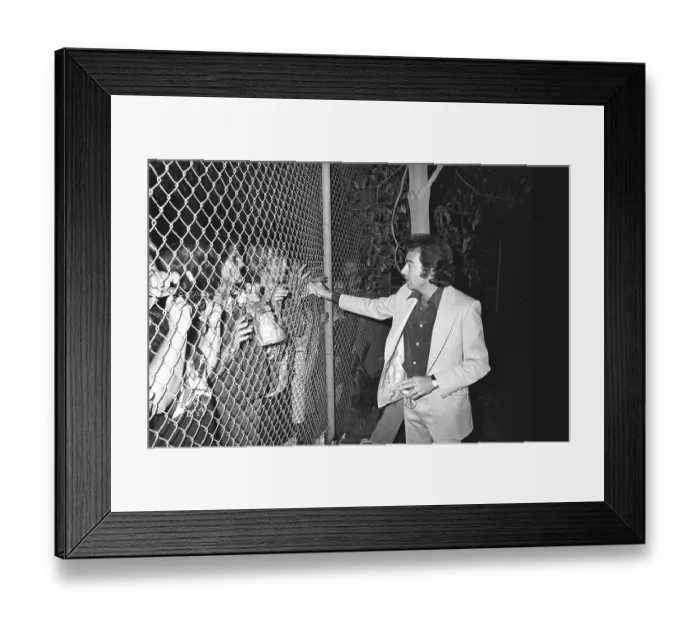Framed Print : Diamond Autographs Session