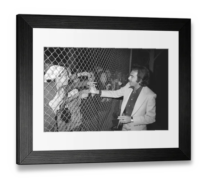 Framed Print : Diamond Autographs Session