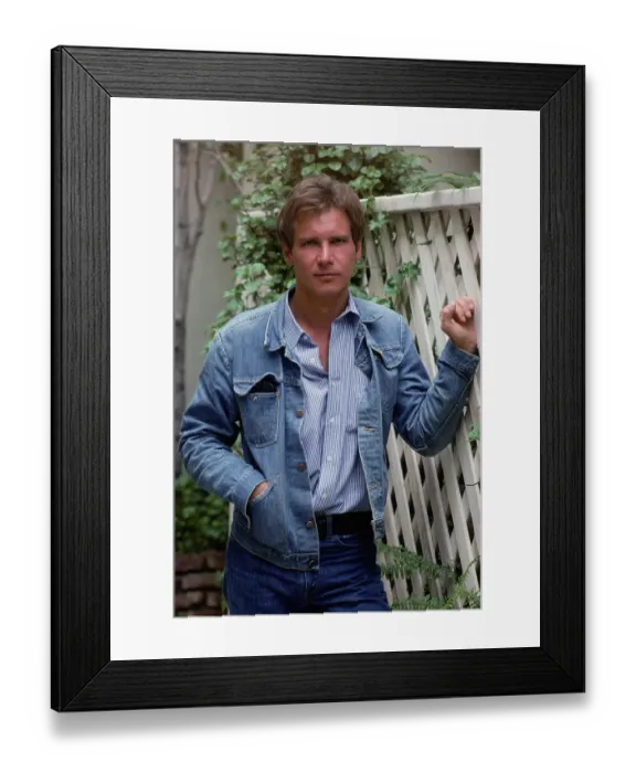 Framed Print : Harrison Ford, American Actor Framed Print : Harrison Ford, American Actor