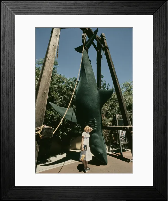 Framed Print : Barbara May Visits Universal Studios, 1978 Framed Print : Barbara May Visits Universal Studios, 1978