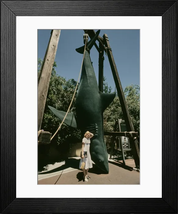 Framed Print : Barbara May Visits Universal Studios, 1978 Framed Print : Barbara May Visits Universal Studios, 1978