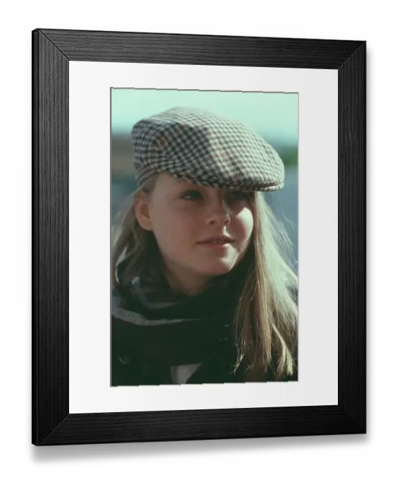 Framed Print : On The Set Of Foxes Framed Print : On The Set Of Foxes