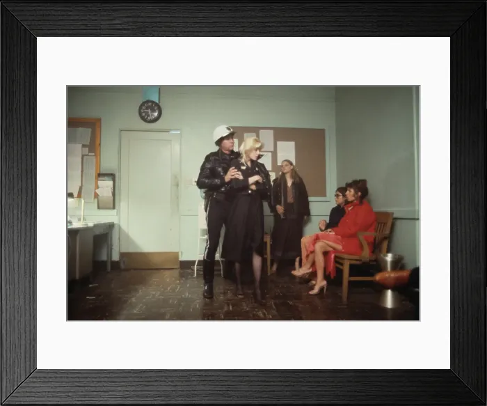 Framed Print : On The Set Of Foxes Framed Print : On The Set Of Foxes