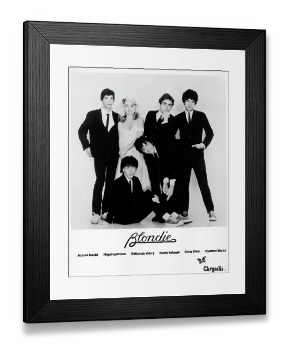 Framed Print : Blondie Portrait Framed Print : Blondie Portrait
