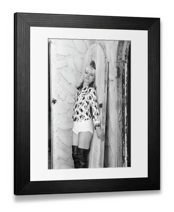 Framed Print : Blondie Portrait Session Framed Print : Blondie Portrait Session