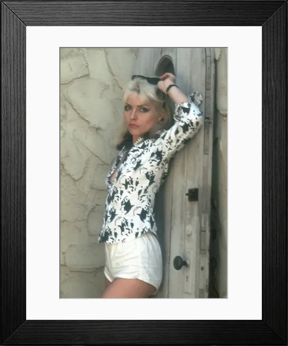 Framed Print : Blondie Portrait Session Framed Print : Blondie Portrait Session