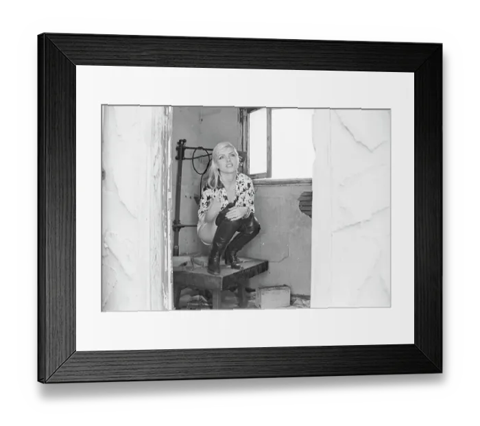 Framed Print : Blondie Portrait Session Framed Print : Blondie Portrait Session