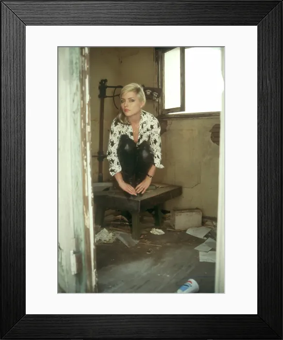 Framed Print : Blondie Portrait Session Framed Print : Blondie Portrait Session
