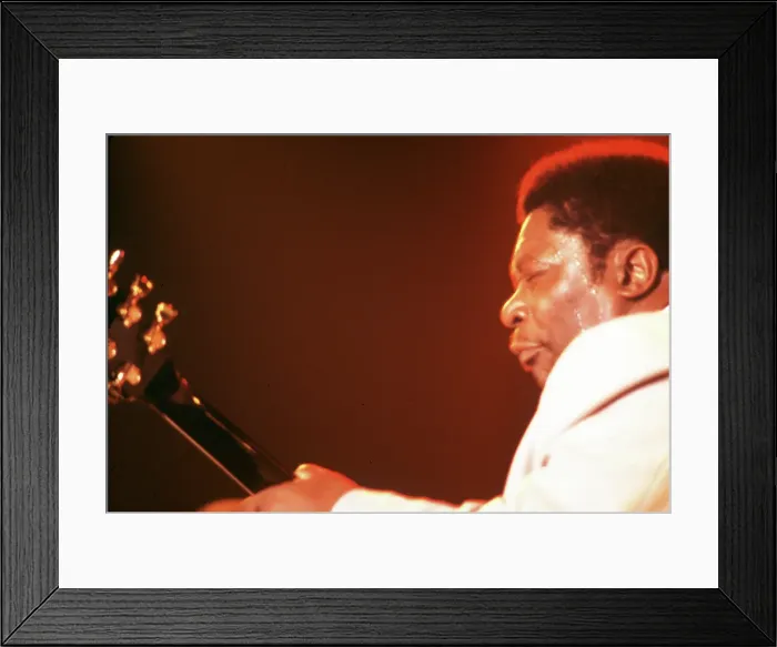 Framed Print : BB King Performing In LA Framed Print : BB King Performing In LA