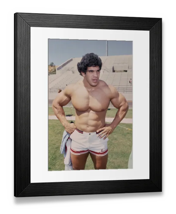 Framed Print : U.S. Against the World III - Lou Ferrigno Framed Print : U.S. Against the World III - Lou Ferrigno