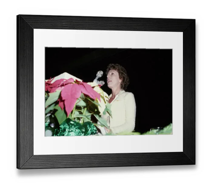 Framed Print : 1979 Hollywood Women's Press Club Awards Framed Print : 1979 Hollywood Women's Press Club Awards