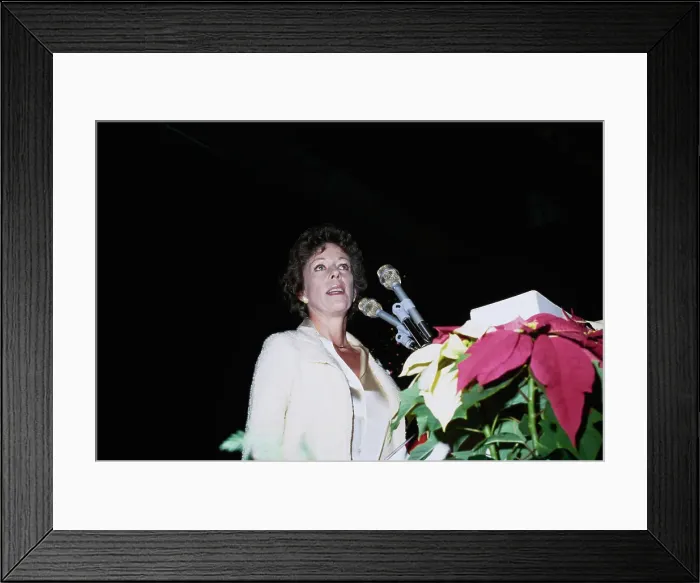 Framed Print : 1979 Hollywood Women's Press Club Awards Framed Print : 1979 Hollywood Women's Press Club Awards